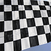 GP+F1+Race+Fan